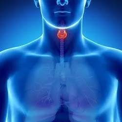 Thyroid_Conditions.jpg
