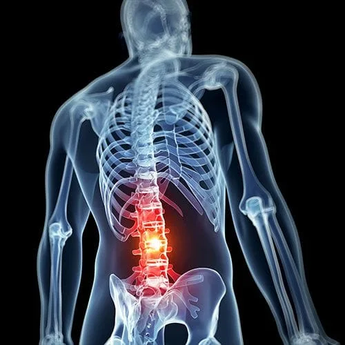 chiropractic spine alignment