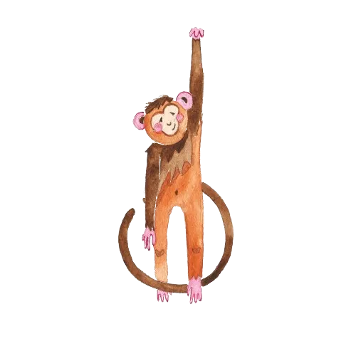 monkey