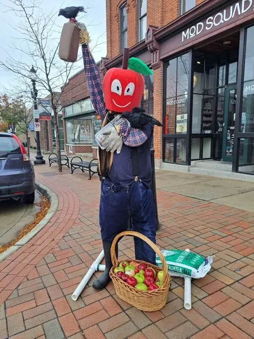 2023 12th Annual Saline Scarecrow Contest - Entry #19