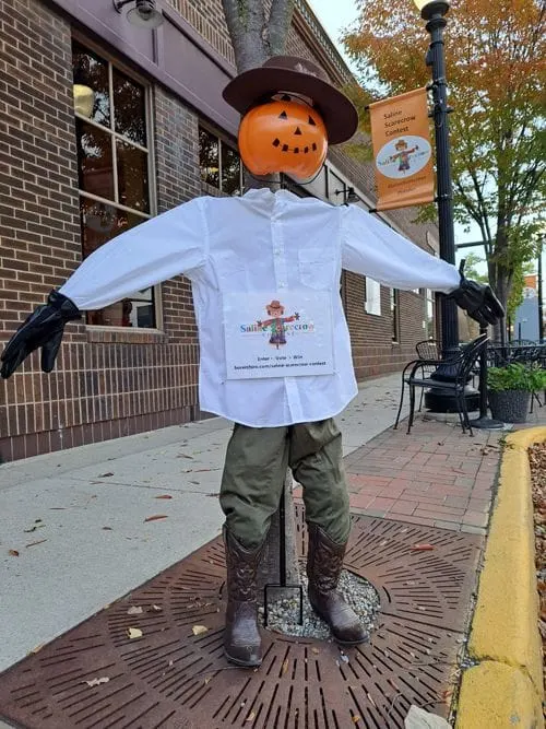 2023 12th Annual Saline Scarecrow Contest - Entry #27