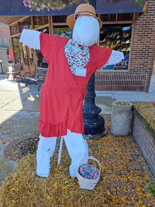 2023 12th Annual Saline Scarecrow Contest - Entry #6