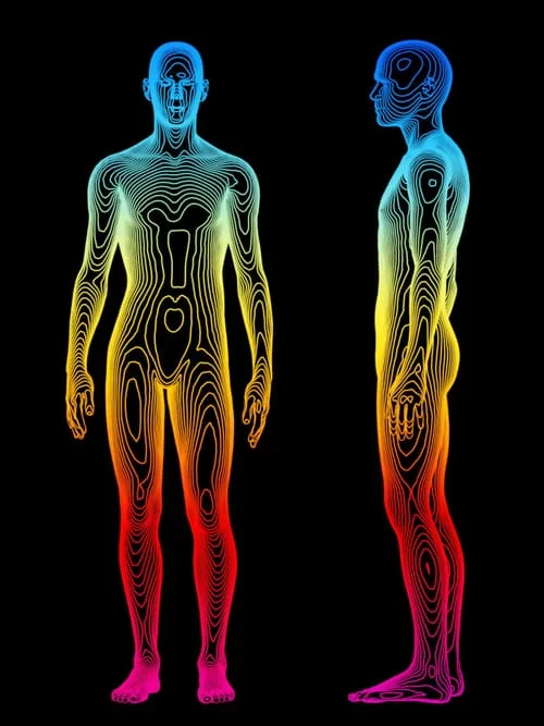 Health Concepts I - Chiropractor in Fayetteville, GA US :: Body Scan