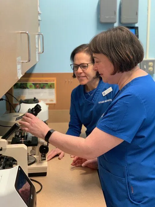 lab emily and valerie