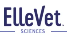 ElleVet Veterinarian in Indianola IA All Creatures Small