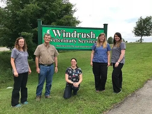 Windrush Team