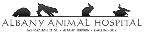 Albany Animal Hospital, Inc.