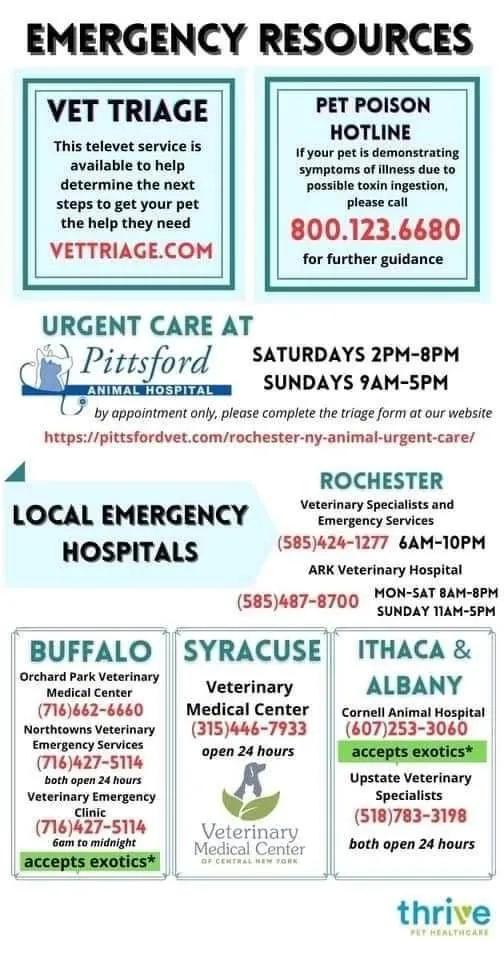 emergencies