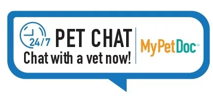 MyPetDoc Chat