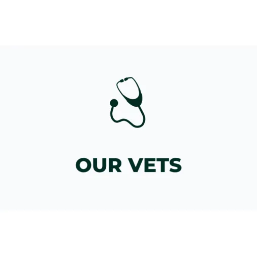 Meetourveterinarians