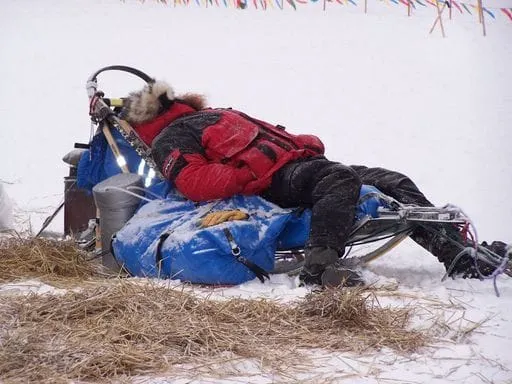 musher asleep on sled