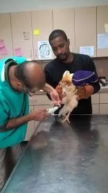 Dr. Walker, Thomas and "Casserole" the Rooster