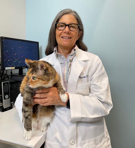 Dr. DiPasquale with cat