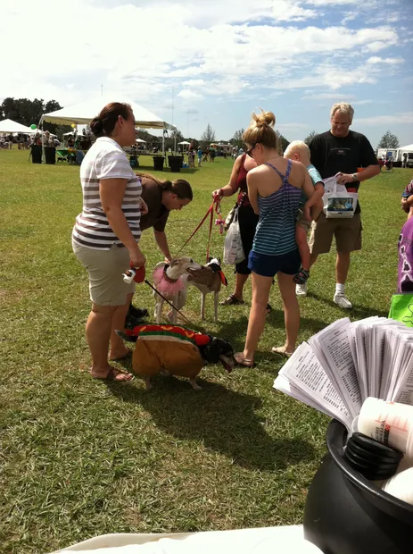 dogfest1.JPG