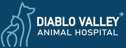 Diablo Valley Animal Hospital