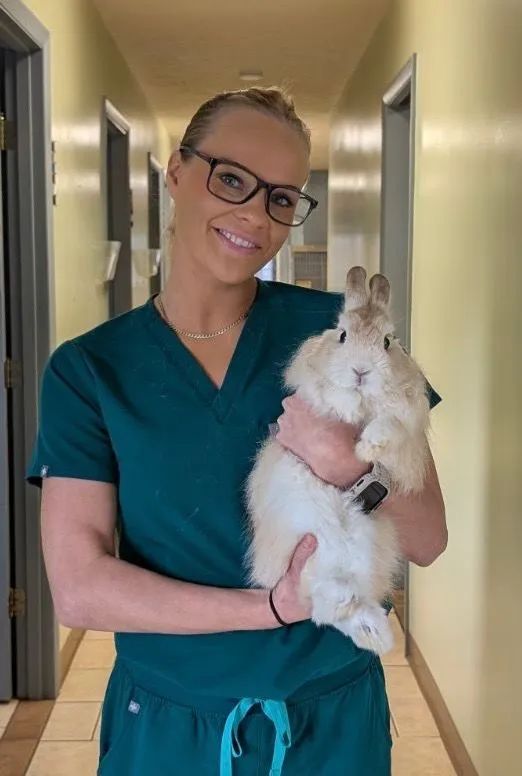 Veterinary Assistant