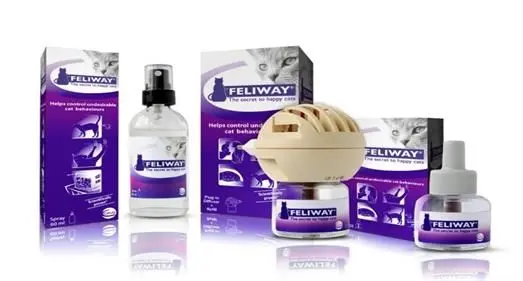 Feliway Spray  Absolute Pets