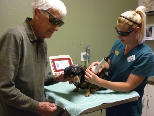 Class IV Laser Therapy