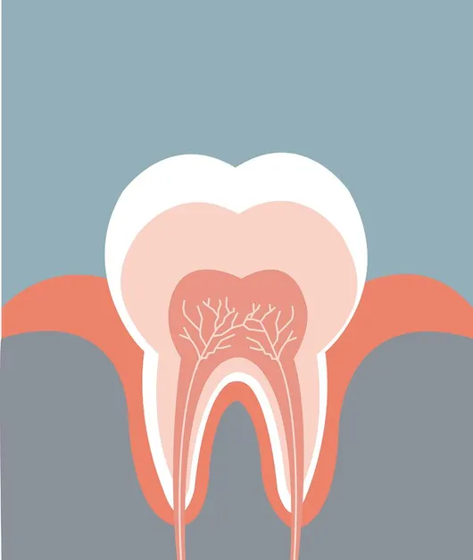 Root Canals | Dental Implants in Royal Oak, MI | Douglas Eades, D.D.S.