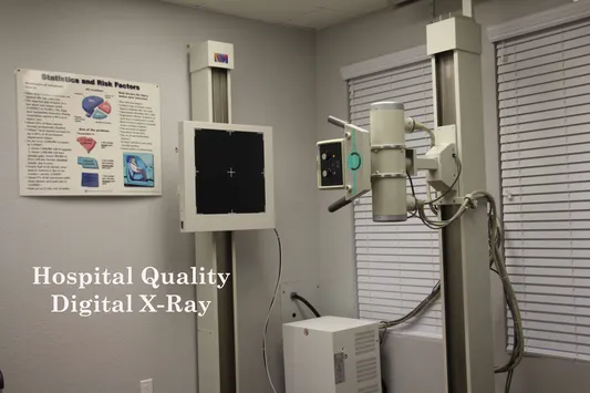 Hospital Quality Digital X-Ray.