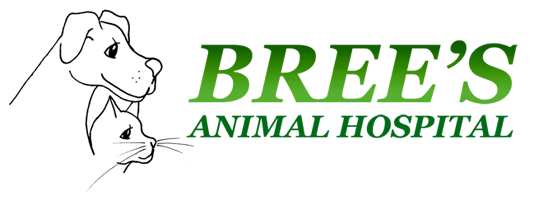 Bree's Animal Hospital
