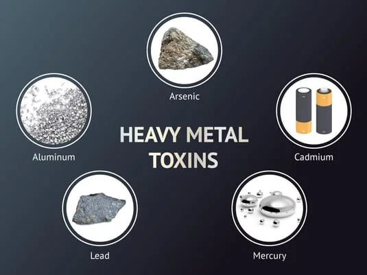 Examples of heavy metal toxins