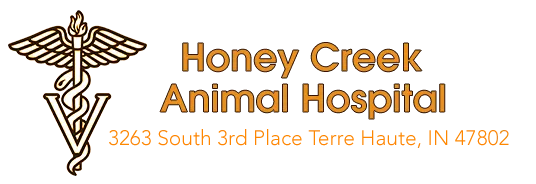 Honey Creek Animal Hospital