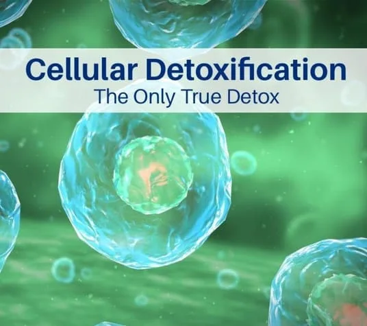 Cellular detoxification