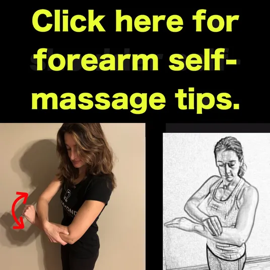 forearm stretches