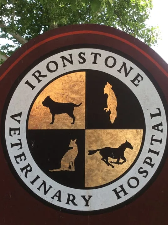 Ironstone Logo