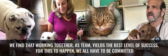 best holistic vets near me