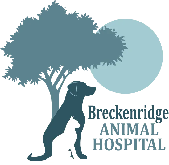 Breckenridge Animal Hospital