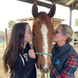 equine chiropractic