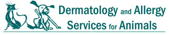 Dermatology And Allergy Services For Animals Veterinarian In