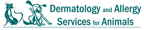 Dermatology & Allergy Services for Animals