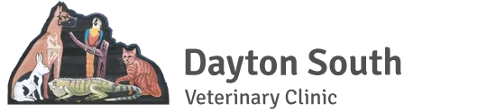 Dayton South Veterinary Clinic