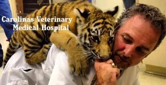 Carolinas Veterinary Medical Hospital
