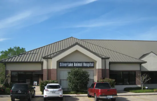 Veterinarians in Pearland Texas - About us