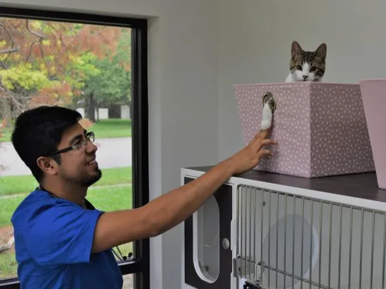 Dr. Ocampo with kitten