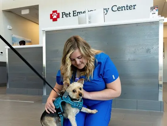 Photo of staff member greeting small dog