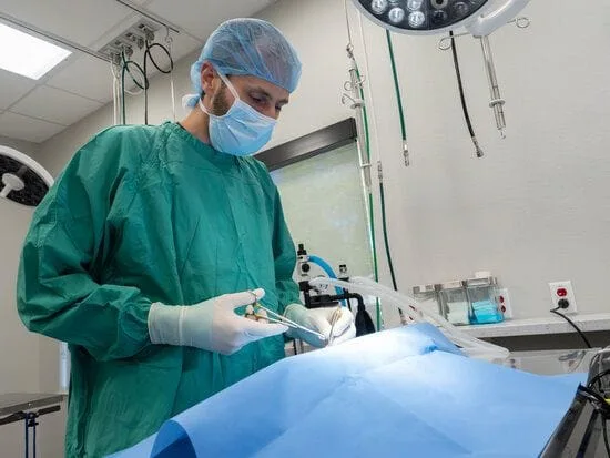 Photo of vet performing surgery.