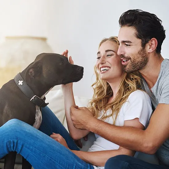 Couple with dog