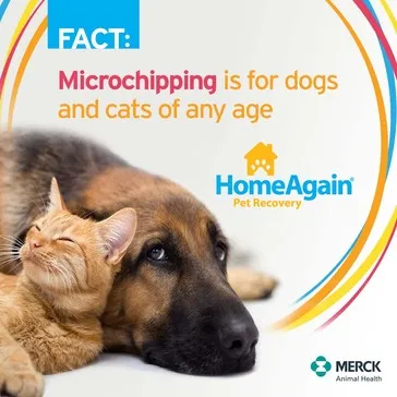 microchipping