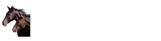 Equiplex Veterinary Hospital