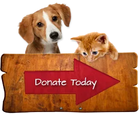 donate_animal.png