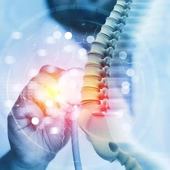 ​3D Spine Simulator​