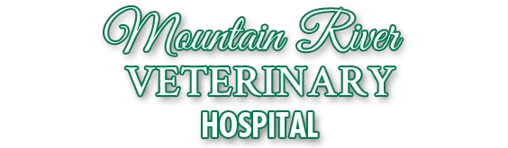 Mountain River Veterinary Hospital