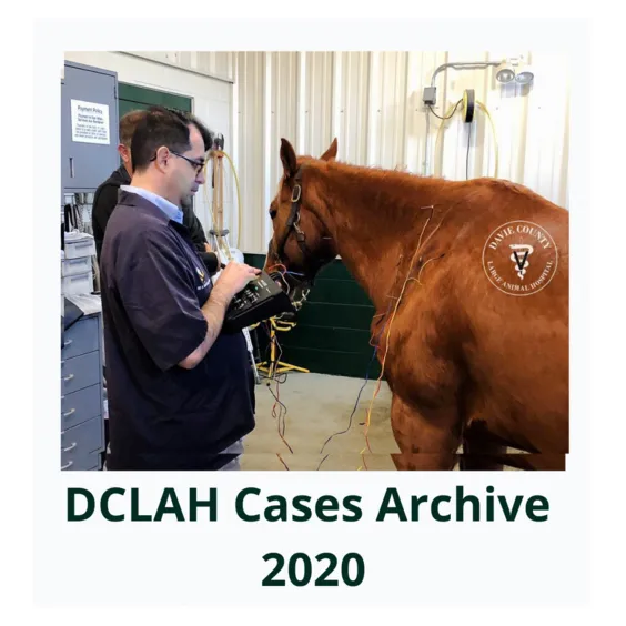 DCLAHCasesArchive2020Cover