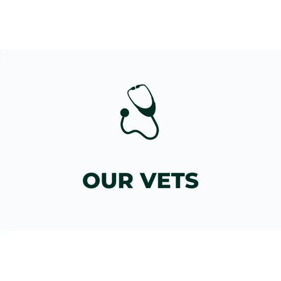 OurVeterinarians