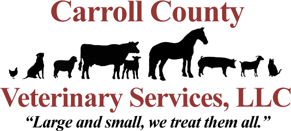 Carroll County Veterinary Services